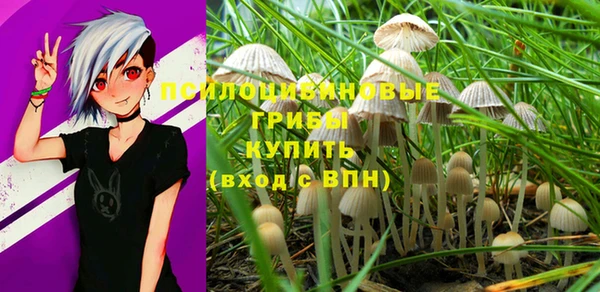 скорость Алзамай