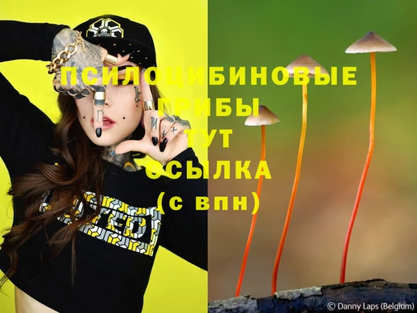 мескалин Алексеевка