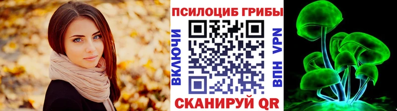 МЕГА tor  Аргун  Галлюциногенные грибы GOLDEN TEACHER 