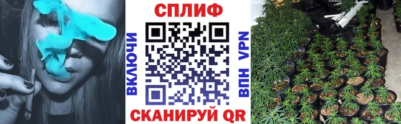 блэк спрут зеркало  Аргун  Канабис тримм 